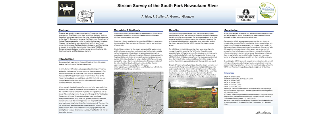 Stream Survey of the South Fork Newaukum River
