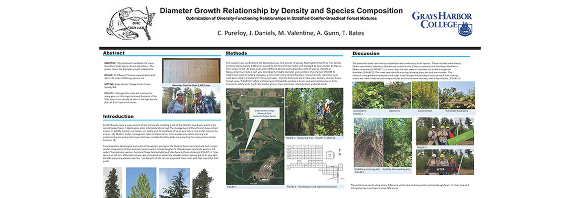 Diameter Growth Relationship by Density and Species Composition: Optimization of Diversity-Functioning Relationships in Stratified Conifer-Broadleaf Forest Mixtures