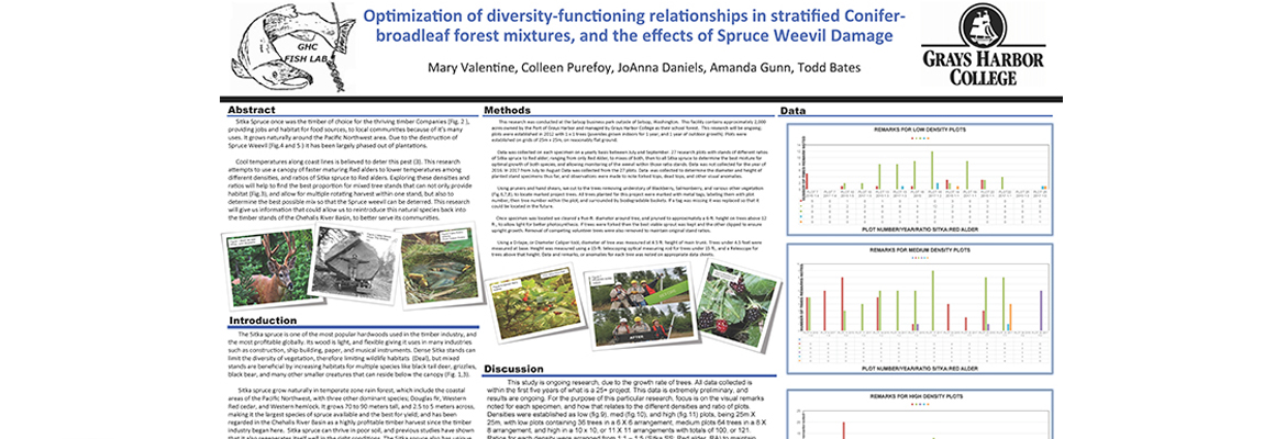 Optimization of diversity-functioning relationships in stratified Conifer-broadleaf forest mixtures, and the effects of Spruce Weevil Damage