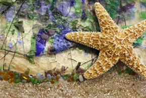 2015 Coastal Composite by South Beach Arts Association