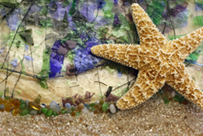 2015 Coastal Composite by South Beach Arts Association
