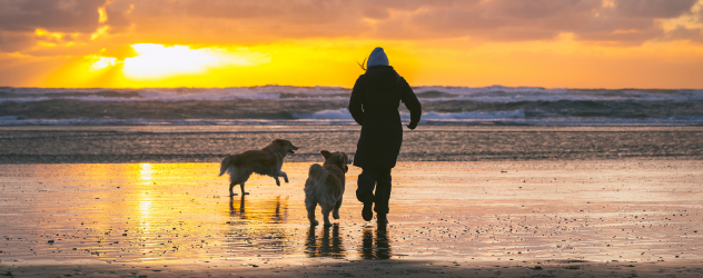 Mujer con 2 perros en la playa al atardecer.