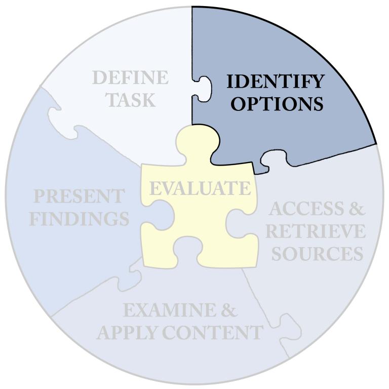 Puzzle piece labeled: Identify Options