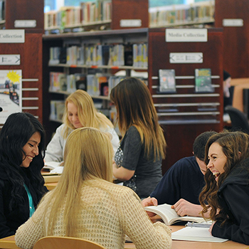 Students Studying in the Library