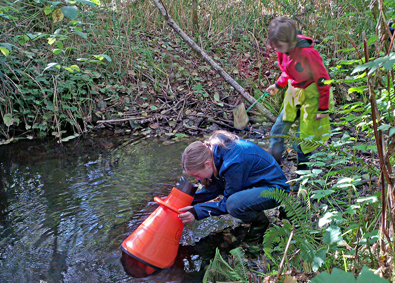 students looking in stream with viewer