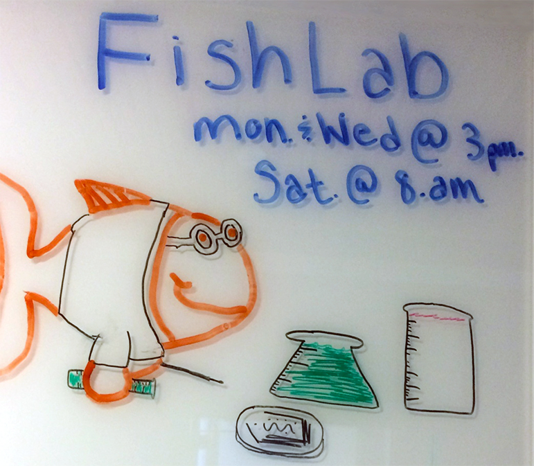 Fish Lab Hours