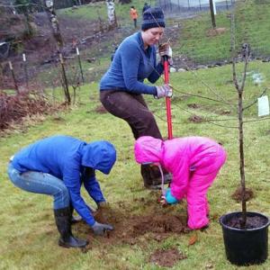 Tree Planting Volunteers