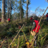 GHC Forestry Program Hosts 15th Annual Satsop Forestry Contest