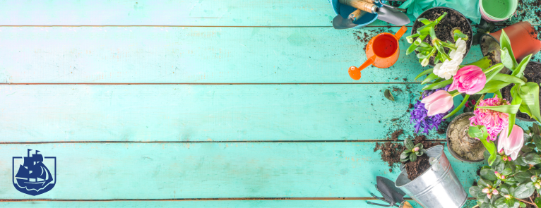 An orange watering can and some messily potted flowers sit on a blue painted wooden planks. In the middle of the image is the text "Spring Quarter Enrollment Days"