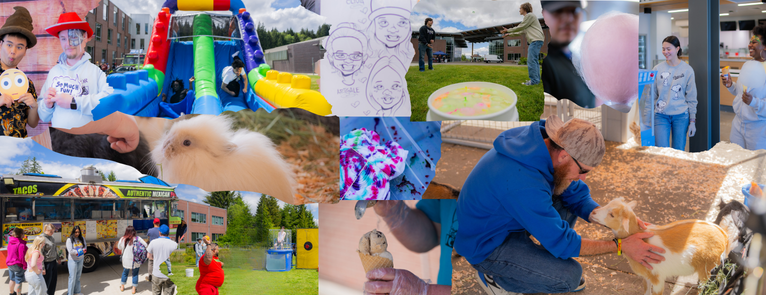 On top of a collage of photos is a spiky word bubble with the text MAYHEM inside it. The photos depict a range of event moments from fair foods to carnival activities.