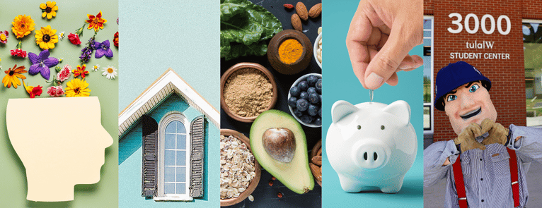collage of photos representing mental health, housing, food, finances, and student support.