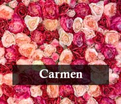 Pink flowers on the background with the word Carmen